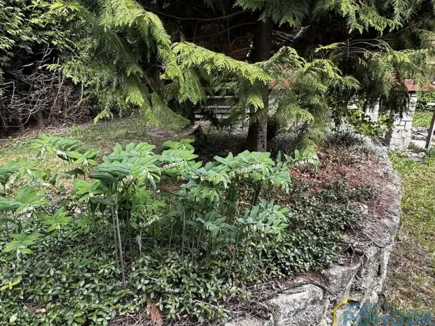Prodej chaty, Vysoké Mýto, Sárovec, 25 m2