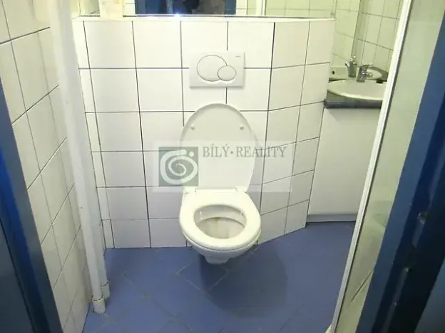 Pronájem bytu 1+kk, Brno, Botanická, 25 m2