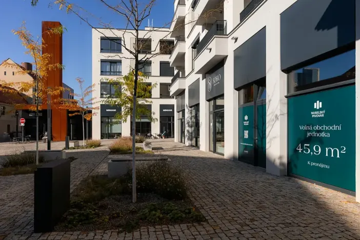 Pronájem obchodního prostoru, Praha - Nusle, Bělehradská, 50 m2