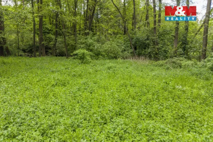 Prodej lesa, Červené Pečky - Bohouňovice I, 491 m2