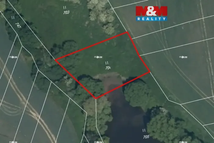 Prodej louky, Vlašim - Domašín, 1137 m2