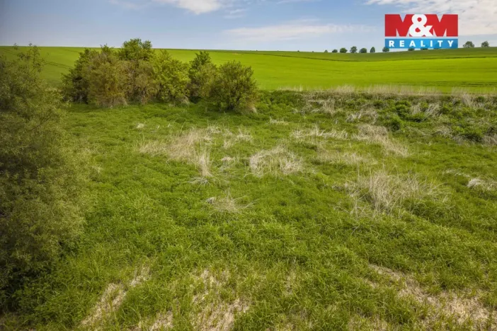 Prodej louky, Vlašim - Domašín, 1137 m2