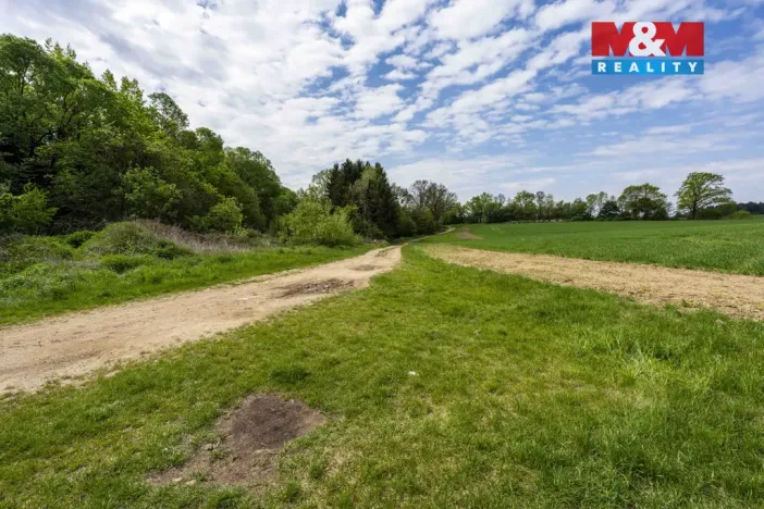 Prodej louky, Vlašim - Domašín, 1137 m2