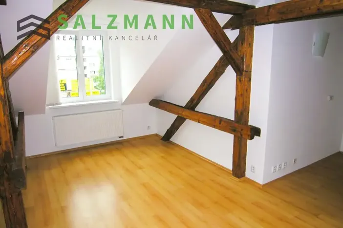 Pronájem bytu 2+kk, Plzeň, Rokycanská, 60 m2