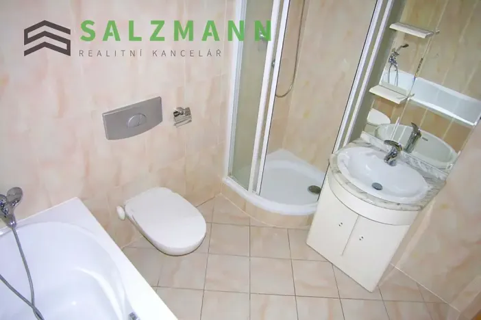 Pronájem bytu 2+kk, Plzeň, Rokycanská, 60 m2