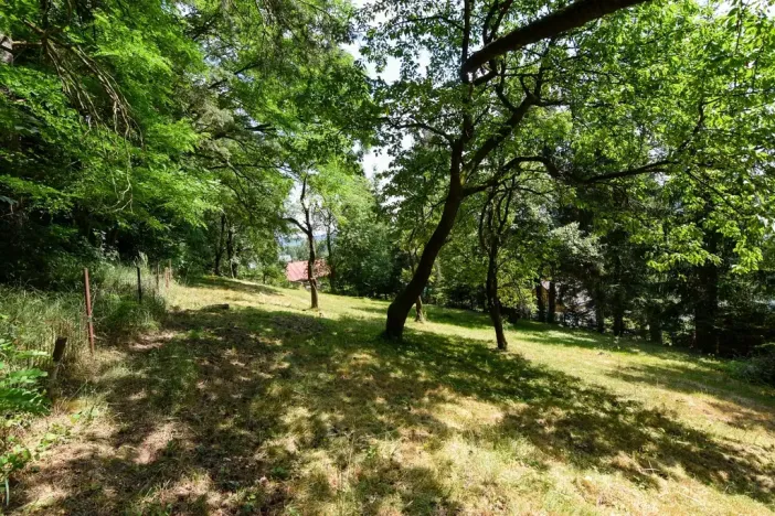 Prodej zahrady, Stříbrná Skalice, 1015 m2