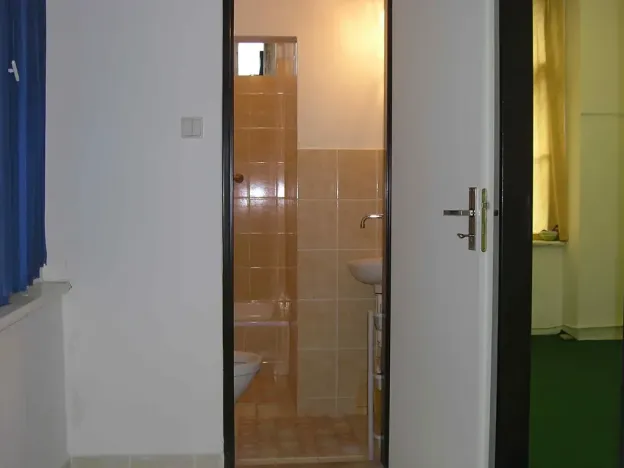 Pronájem bytu 1+kk, Brno, Ptašínského, 18 m2