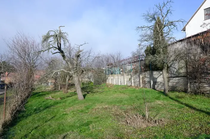 Prodej chalupy, Přílepy, 280 m2