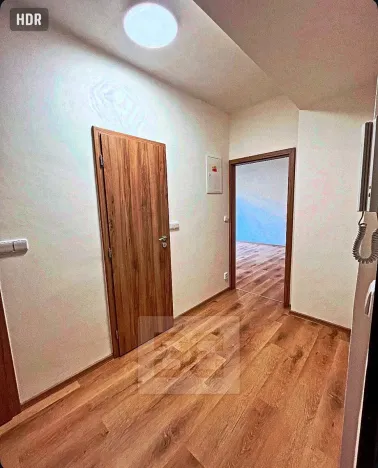 Pronájem bytu 2+kk, Plzeň, Pod Švabinami, 60 m2