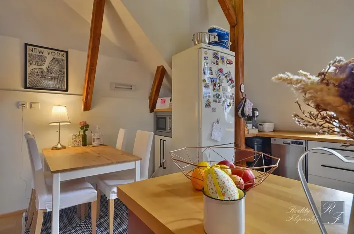 Prodej bytu 2+1, Ústí nad Labem, U Nemocnice, 90 m2