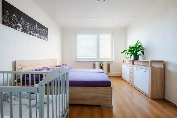 Pronájem bytu 2+1, Třebíč, Fr. Hrubína, 54 m2