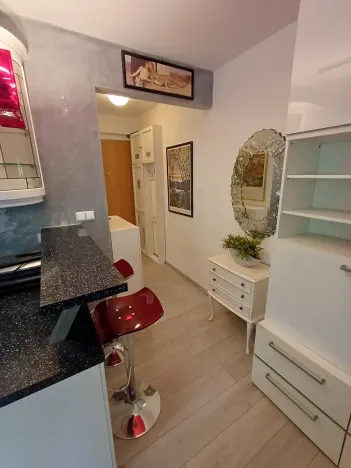 Pronájem bytu 1+kk, Praha - Podolí, Brabcova, 44 m2