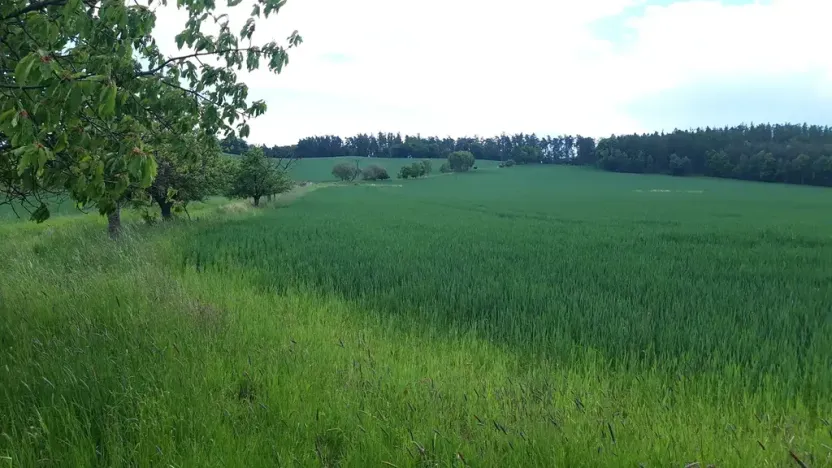 Prodej pozemku pro bydlení, Lipinka, 4373 m2