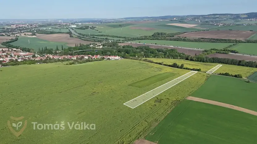 Prodej pole, Velešovice, 12974 m2