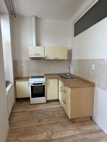 Pronájem bytu 1+kk, České Budějovice, Tylova, 39 m2