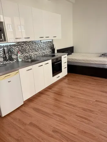 Pronájem bytu 1+kk, Praha - Nusle, Bartoškova, 36 m2