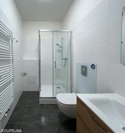 Pronájem bytu 1+1, Brno, Körnerova, 41 m2