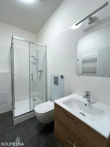 Pronájem bytu 1+1, Brno, Körnerova, 41 m2