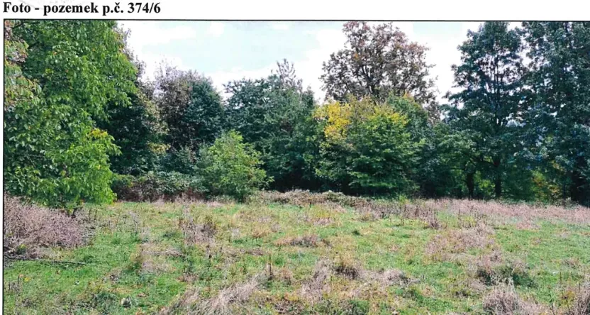 Prodej pozemku, Stráž nad Ohří, 2127 m2