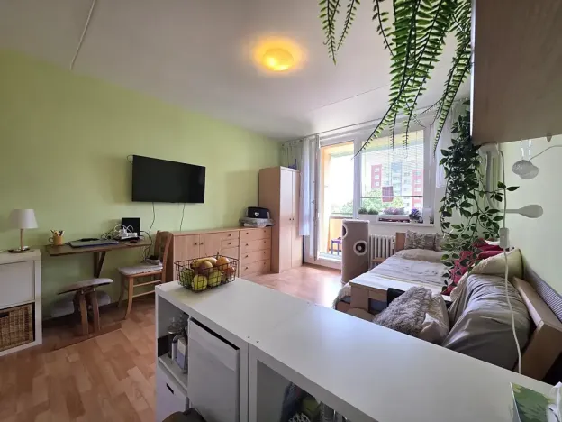 Prodej bytu 1+kk, Brno, Opálkova, 24 m2
