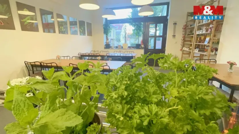 Pronájem obchodního prostoru, Česká Lípa, Moskevská, 45 m2