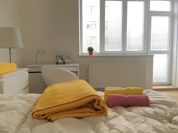 Pronájem bytu 2+1, Brno, Cihlářská, 57 m2