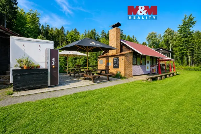 Prodej komerčního pozemku, Krucemburk - Staré Ransko, 21872 m2