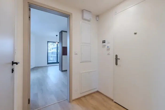 Pronájem bytu 1+kk, Praha - Žižkov, Malešická, 39 m2