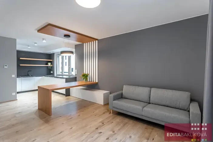 Pronájem bytu 2+kk, Olomouc, Eduarda Hamburgera, 57 m2