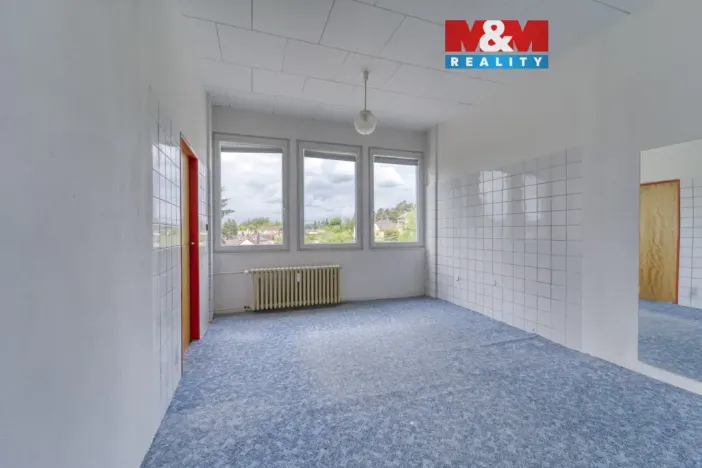 Pronájem obchodního prostoru, Nepomuk, Na Vinici III., 39 m2