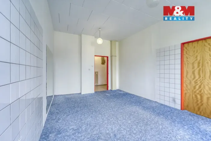 Pronájem obchodního prostoru, Nepomuk, Na Vinici III., 39 m2