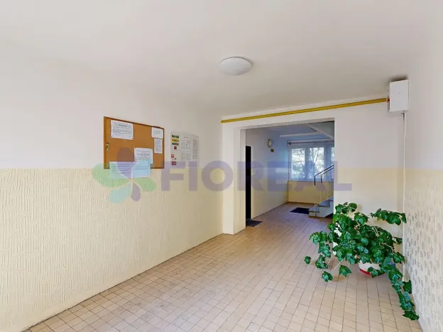 Prodej bytu 3+1, Pardubice, Prodloužená, 57 m2