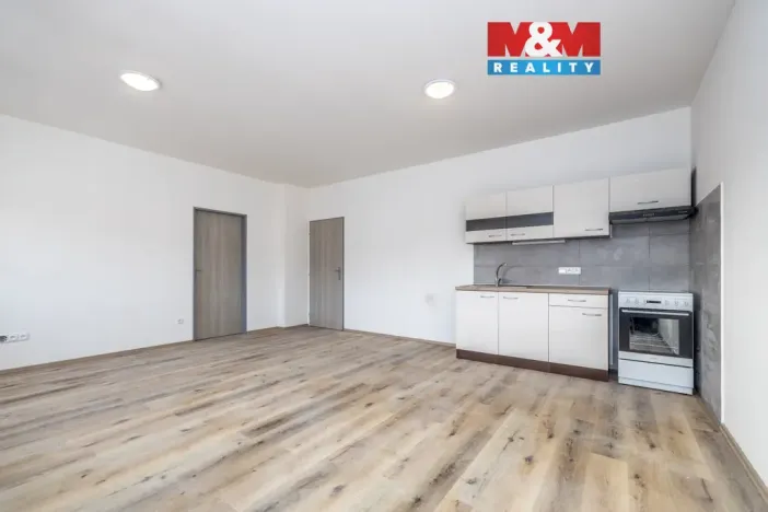 Pronájem bytu 2+kk, Radnice, Na Potocích, 57 m2