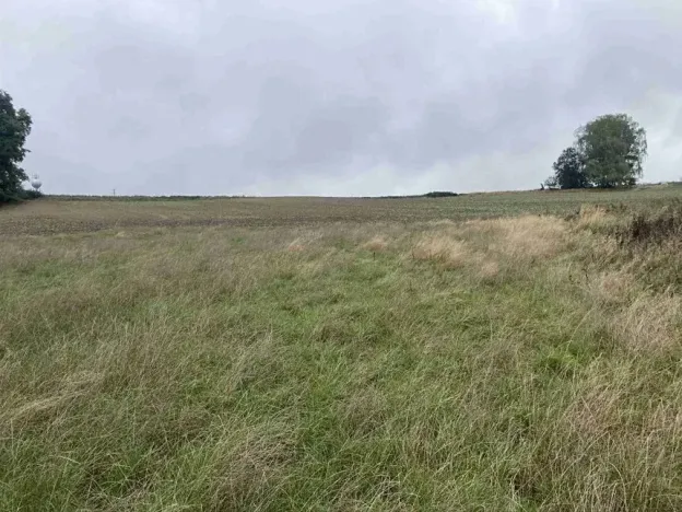 Dražba louky, Kostelec nad Černými lesy, 15764 m2