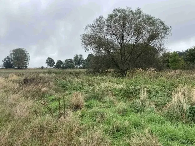 Dražba louky, Kostelec nad Černými lesy, 15764 m2