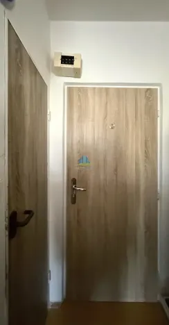 Prodej bytu 1+1, Plesná, Světlá, 35 m2