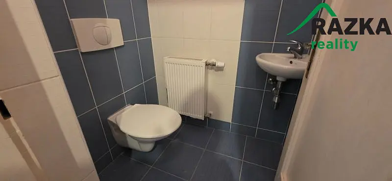 Pronájem bytu 3+1, Planá, 105 m2