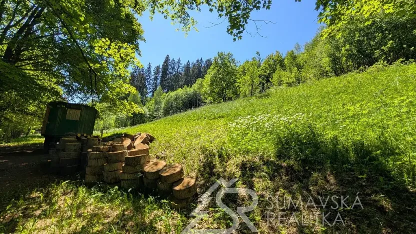 Prodej pozemku, Rejštejn - Klášterský Mlýn, 2979 m2