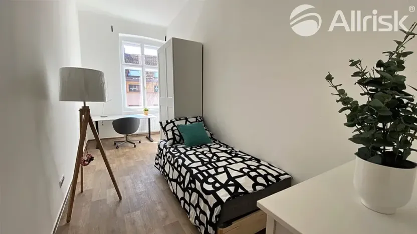 Pronájem pokoje, Brno, Solniční, 16 m2
