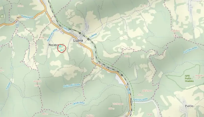 Prodej lesa, Lužná, 3755 m2