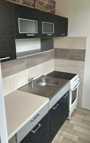 Prodej bytu 1+1, Most, K. H. Borovského, 21 m2