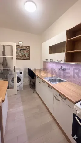 Pronájem bytu 1+1, Brno, Mezírka, 50 m2