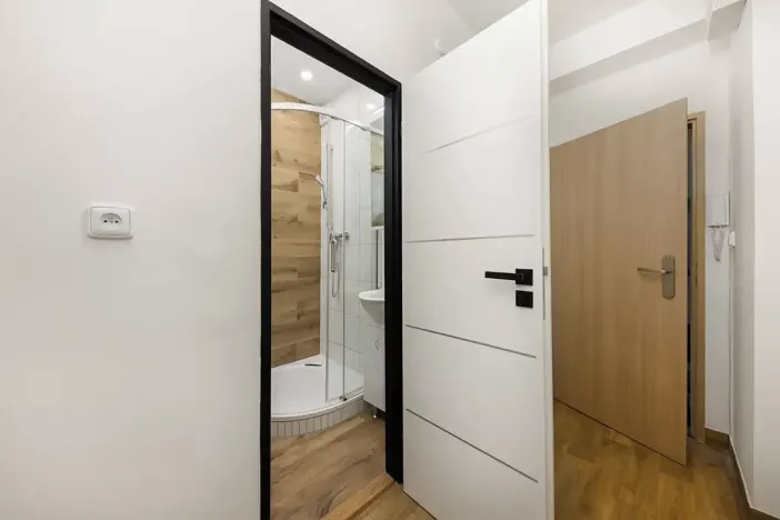 Prodej bytu 2+1, Brno, Výstavní, 55 m2
