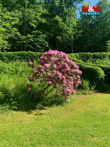 Prodej chaty, Rozstání, 38 m2