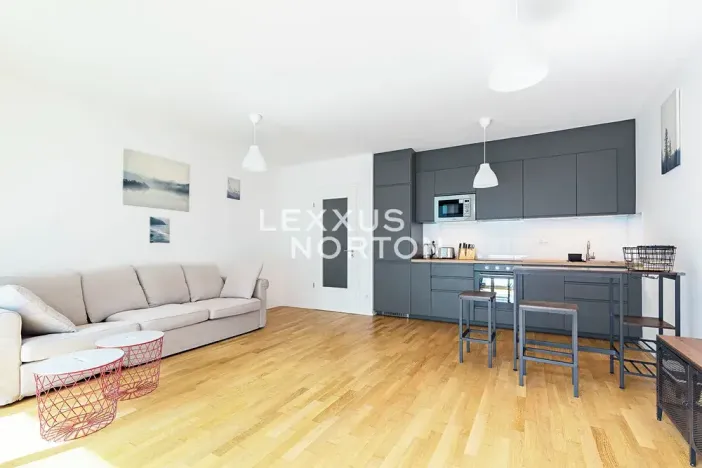 Prodej bytu 1+kk, Praha - Žižkov, U Viktorie, 40 m2