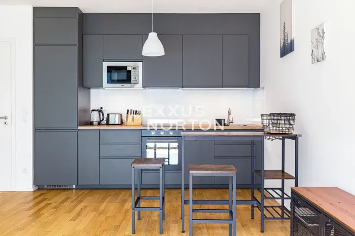 Prodej bytu 1+kk, Praha - Žižkov, U Viktorie, 40 m2