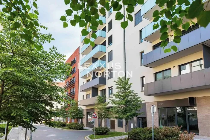 Prodej bytu 1+kk, Praha - Žižkov, U Viktorie, 40 m2