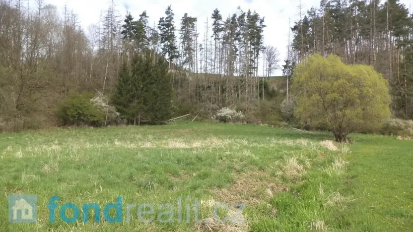 Prodej pozemku, Dešná - Dančovice, 2759 m2
