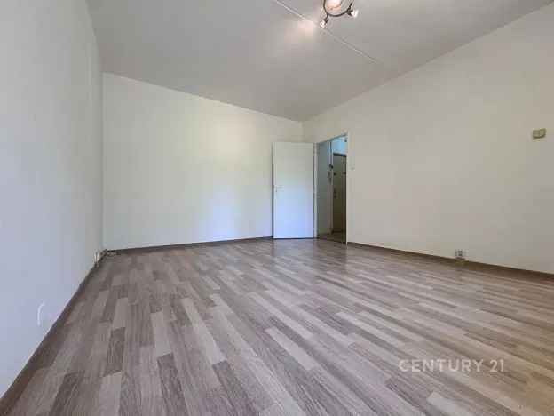 Pronájem bytu 1+1, Bílina, Alšova, 27 m2