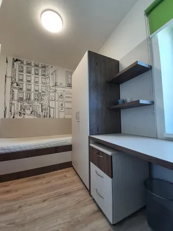 Pronájem pokoje, Ostrava, Koblovská, 12 m2